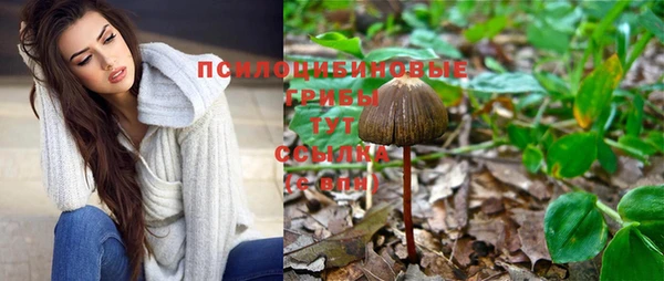 трава Верея
