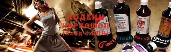 дживик Верхний Тагил
