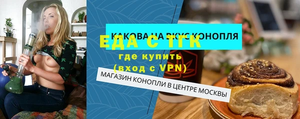 дживик Верхний Тагил