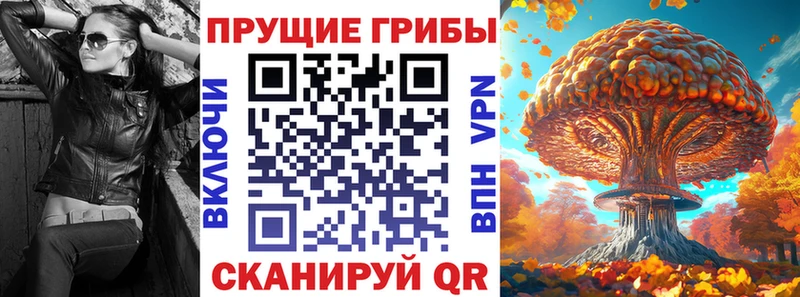 Галлюциногенные грибы Cubensis  Зарайск 